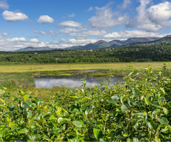 Key Challenges in Agricultural Dredging